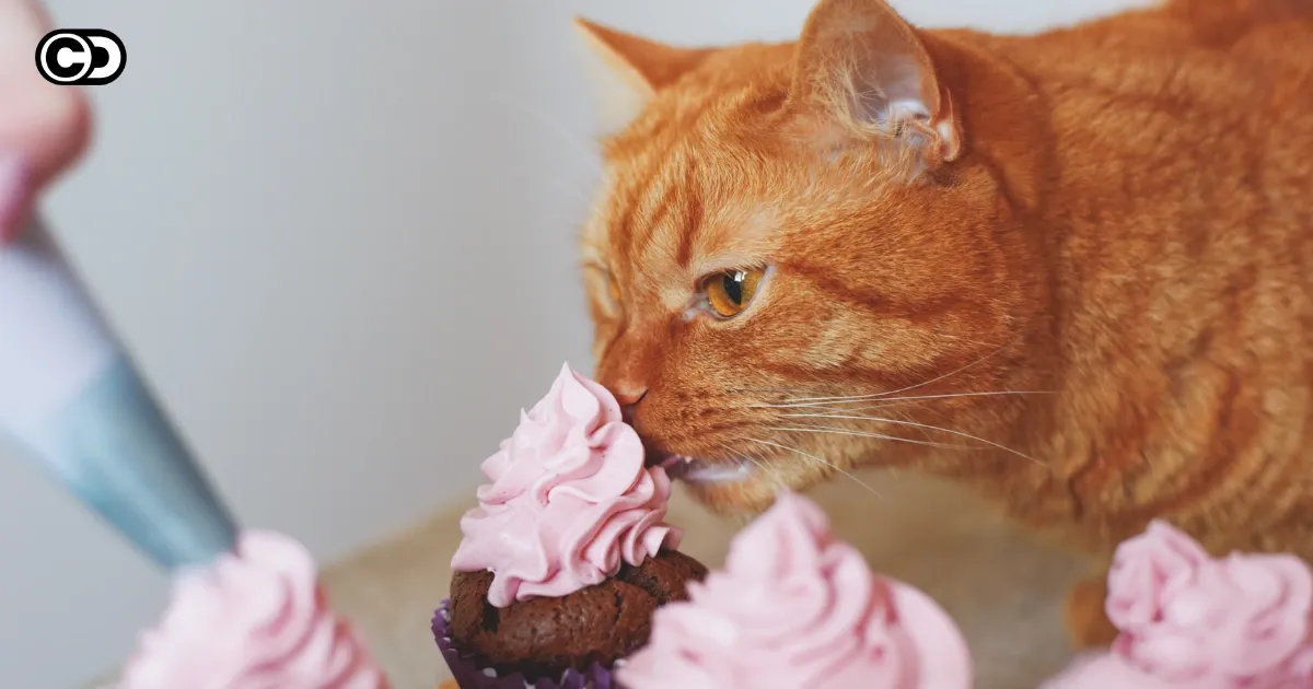 Katzenfutter ohne Zucker – Gesunde Wahl mit hohem Fleischanteil