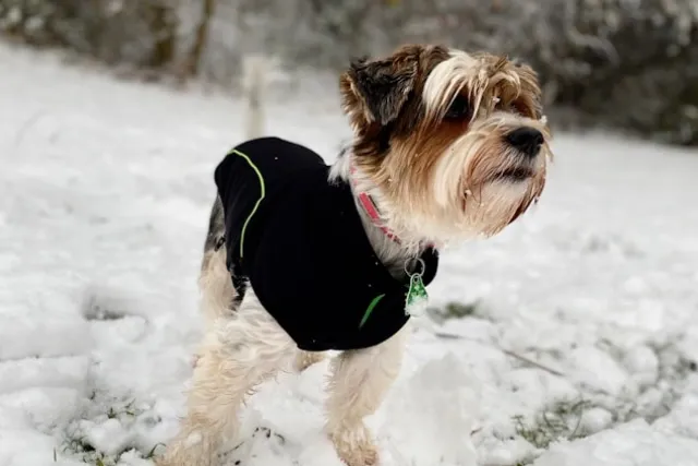 Kleidung & Accessoires