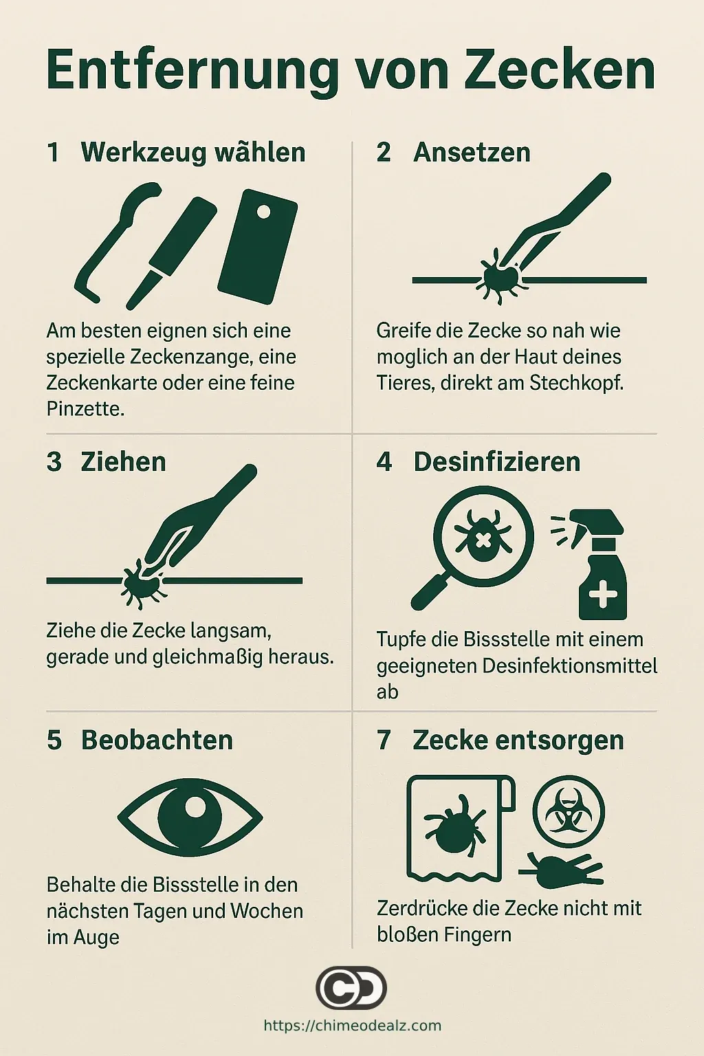 Zecken Entfernung Infografik