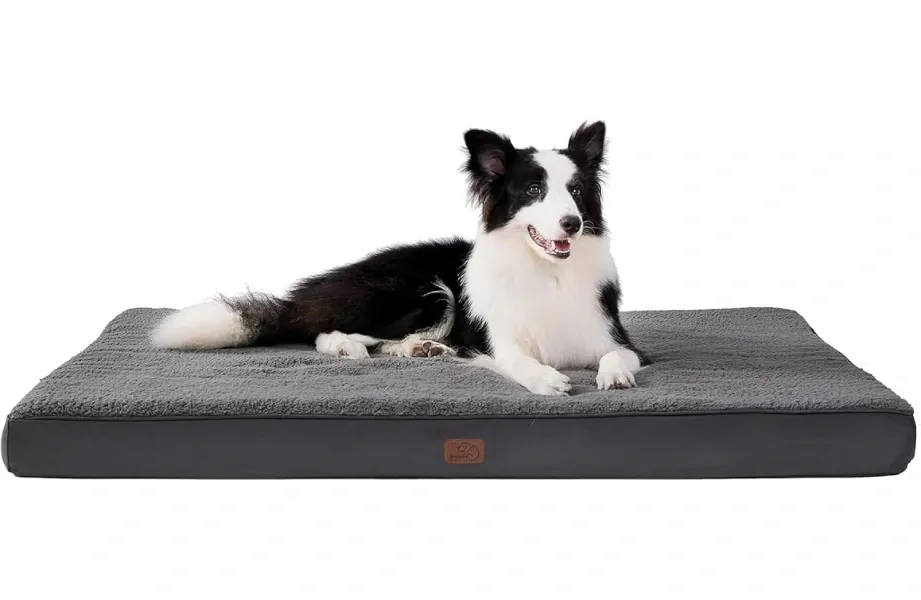 BEDSURE orthopädisches Hundebett für große Hunde – 112x81x7,6 cm, dunkelgrau